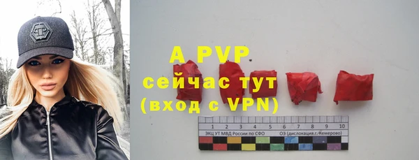 apvp Медногорск