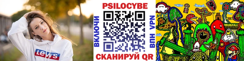 Галлюциногенные грибы мицелий  наркотики  Кисловодск 